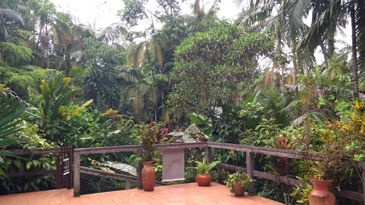 Pousada Do Oasis Morretes Exteriér fotografie